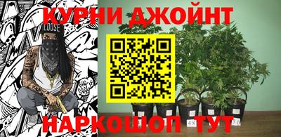 бошки Кимры